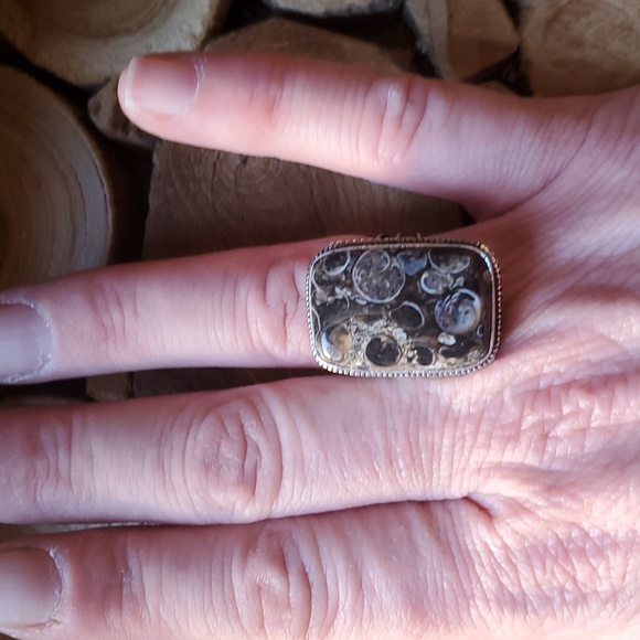 New Turritella Agate Fossil 925 Silver Ring. - Picture 11 of 16